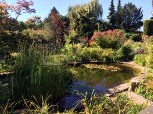 Teich im Förstergarten