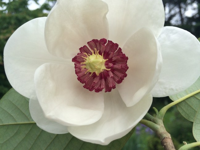 2016-05-29 15.26.13.jpg